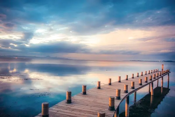 美食在哪里去找